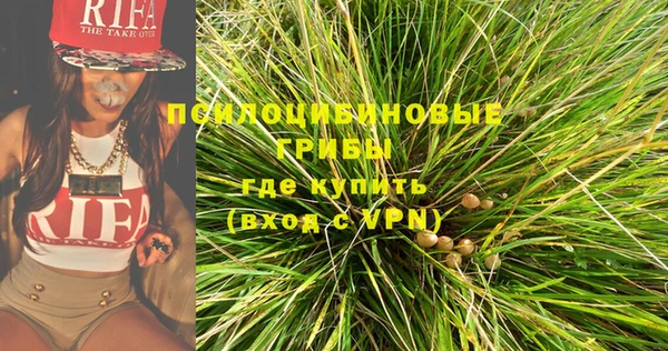 ГАЛЛЮЦИНОГЕННЫЕ ГРИБЫ Верхний Тагил