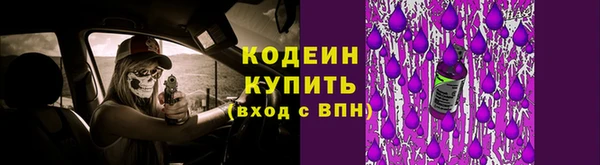ГАЛЛЮЦИНОГЕННЫЕ ГРИБЫ Верхний Тагил