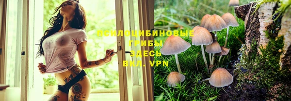 гашишное масло Верея