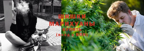 ГАЛЛЮЦИНОГЕННЫЕ ГРИБЫ Верхний Тагил