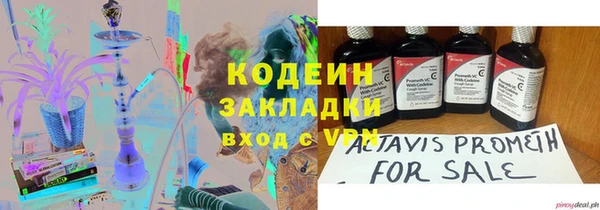 ГАЛЛЮЦИНОГЕННЫЕ ГРИБЫ Бородино